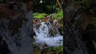 Relaxing Waterfall Sounds ASMR for Sleep 🌿💧