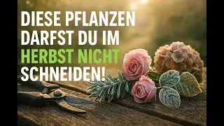 Diese Pflanzen darfst du im Herbst nicht schneiden