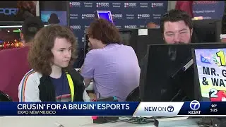 Toon Fusion and Esports convention