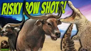 RISKY Bow Shots On 8 Diamond Banteng Lead To A Leucistic Crocodile! Call of the wild