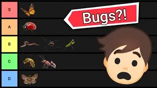 Insect/Bug Tier List! (Disgusting)