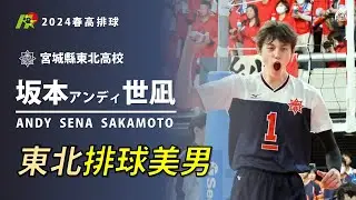【坂本アンディ世凪Sakamoto Andy Sena】東北排球美男 2024春高排球合輯Hightlights