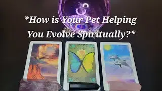 *How is Your Pet Helping You Evolve Spiritually?* *Powerful Messages* *Pick a Card* 😊💖🙏🐶😺🦜🐴🐠🐸🐰🐾
