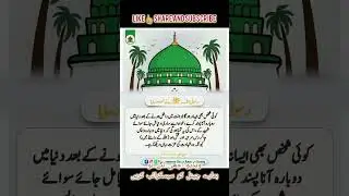 Islamic Quotes | Urdu Quotes | Shorts Video | Viral | Trending Shorts | #shorts | Faizi Speech