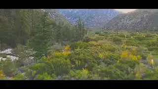 Lytle Creek CALIFORNIA 2020 CINEMATIC footage #MAVIC AIR 2