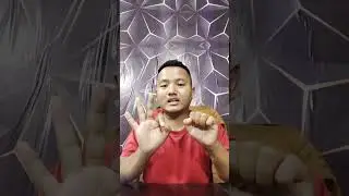 DMIT Test muanglelte ading a hilhchetna