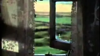 Run Wild, Run Free   1969 1