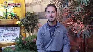 Landscape Lighting Design - Moonlighting Effects for your Cabin Getaway
