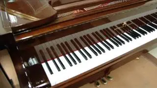 Hoffman and Kuhne Grand Piano - Brand New Piano (Universal Piano Services)