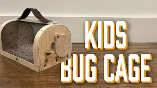 Kid's DIY Bug Cage