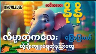 လိမ္မာတဲ့ကလေးဖြစ်တဲ့နည်း / Nono the Elephant&rsquo;s Guide What Kids Should NOT Eat! Healthy Habits