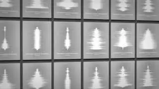 BMW Soundtree Case Study
