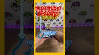 Epic Pok&eacute;mon Fact! Best Pok&eacute;mon Pack Openings! 👀🔥