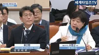 Democratic Party member Seo Young-kyo,