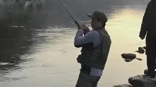 Golden mahasheer 2018 Nepal
