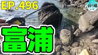 EP.496 内房穴釣り 釣れなくなっていた富浦大房岬のイメージが変わった日