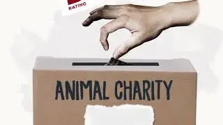 The Humane Society of the United States Gets a &ldquo;D&rdquo;