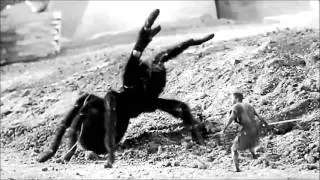 Boris the Spider-Pleasure Thieves