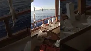Salkım salkım