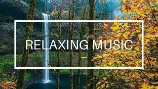 Golden Silence &ndash; Calm Mind Meditation Journey #Meditation | Lotus Frequency