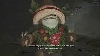 Part 10 - Wait is that an Ewok?!?? - Monster Hunter Wilds [No Talking]