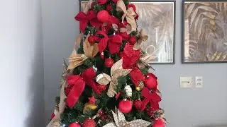 Minha maior árvore de Natal!