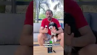 Невероятно яркий! Этот фонарик работает даже под солнцем Флориды!