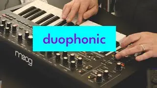 This Moog Feels Different