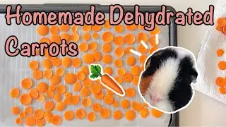 Homemade Dehydrated Carrots: Easy and Healthy Treats for Guinea Pigs!