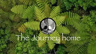 The Journey Home: A Men's Retreat in the Stunning Marlborough Sounds | Answers Within