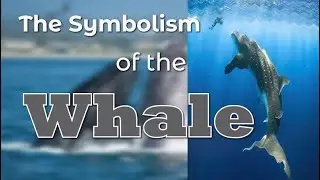 The Symbolism of the Whale