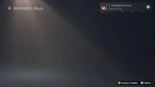WARRIORS Abyss PS5 INSTANT PLATINUM