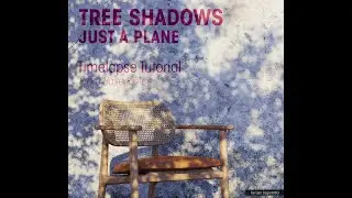 Using tree mask to create shadows in 3dsmax - Animation at the end