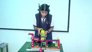 Stop Drop Gravity Transport  &  Stem  Mechanics Robots