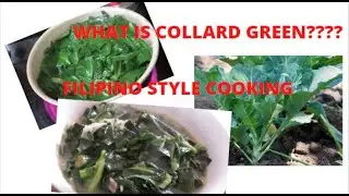 FILIPINA AMERICAN LIFE IN THE US | HOW TO COOK COLLARD GREEN IN FILIPINO STYLE||#MRS ROBINSON