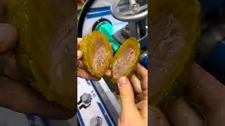 Let's cut a Royal Imperial Jasper! #shorts #royal #rock