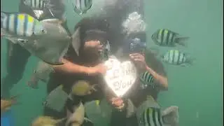 Grand Island 🏝️ SCUBA 🤿 diving trip Div diving Guru Goa adventure travels company