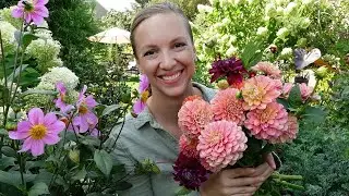 Winter flowering plants special in India | सर्दियों में उगाई जाने वाले फूलों के पौधे