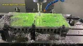 China EPS seeding tray mould manufacturing