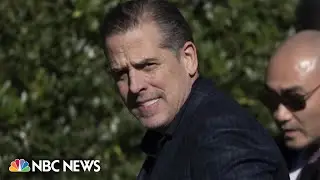 Hunter Biden plea deal in jeopardy after disagreement over gun charge