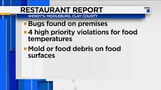 Restaurant Report: Fast Food