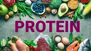 PROTEIN Description |definition| |classification| nutrient
