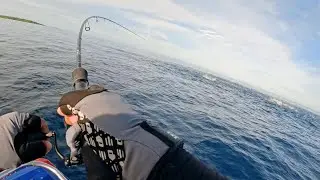 NEMU GEROMBOLAN IKAN TONGKOL LANGSUNG PESTA STRIKE !! ULTRALIGHT CASTING