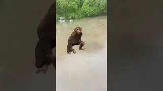 funny video @aarkay10 #shorts #viral #tiktok #trending