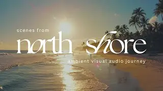 Scenes from North Shore | Hawaii Dreamscape | Tropical Ambience | 4K Relaxing Visual Audio Journey