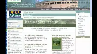 CMS Connected Pages