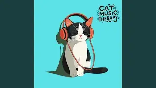 Healing Frequencies for Cats Music to Ease Feline Anxiety