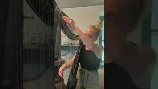 Master of Puppets - Metallica Electric Harp Cover