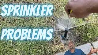 IT'S ALWAYS THAT ONE SPRINKLER THAT DOESN'T WORK