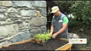 Planting Vegetables in a Vegtrug Raised Planter
